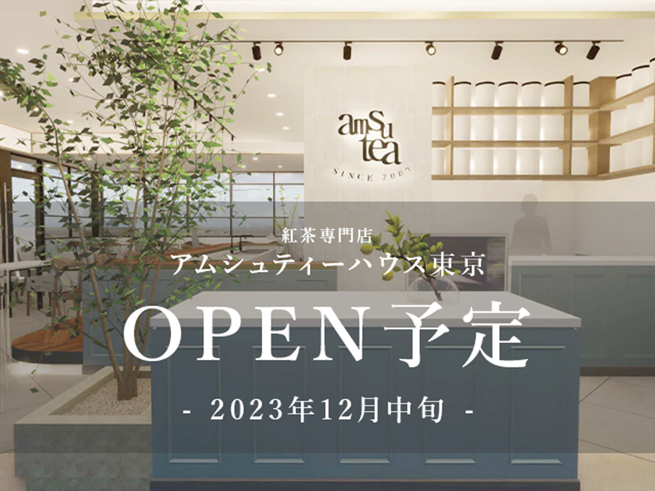 アムシュティーハウス東京